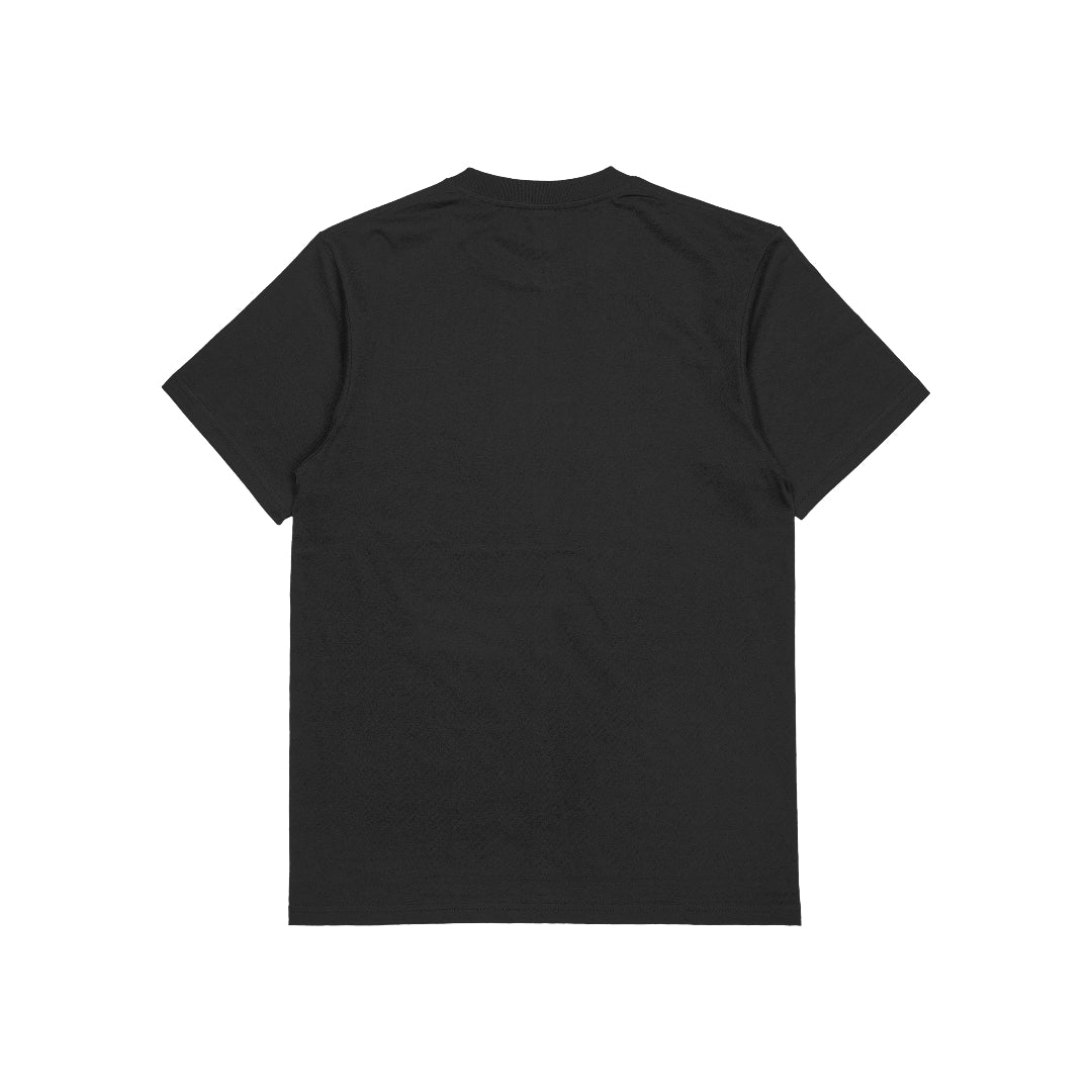 Am vision Essentials